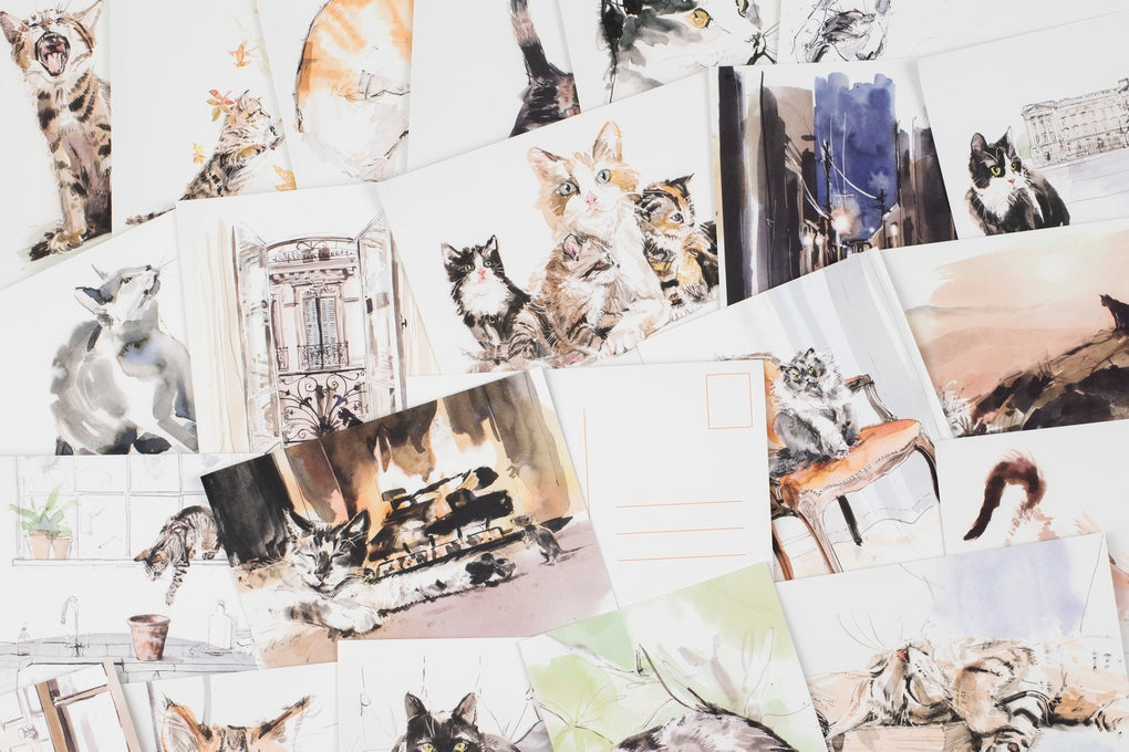 For the Love of Cats: 25 Postcards by Ana Sampson