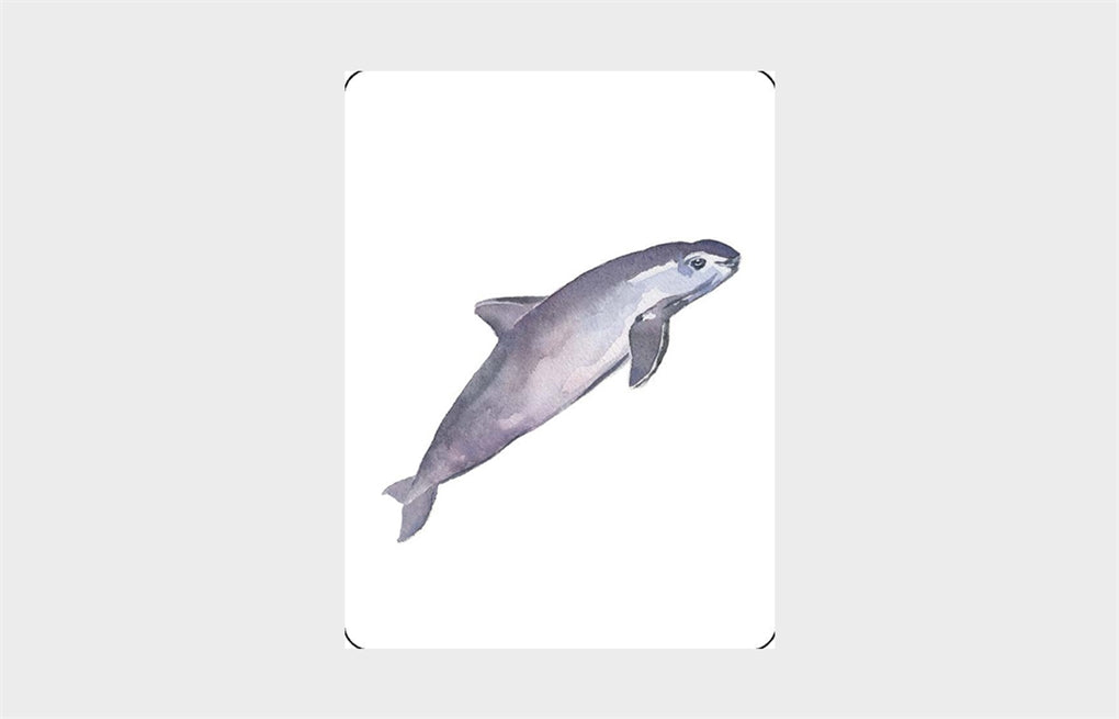 You Callin' Me a Cheetah? (Psst! I'm a Leopard!) by Marcel George, Laurence King Publishing