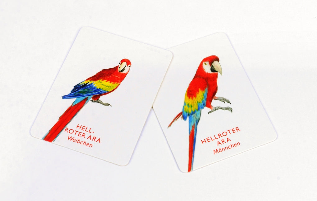 Vogelpaare by Christine Berrie, Magma Publishing Ltd