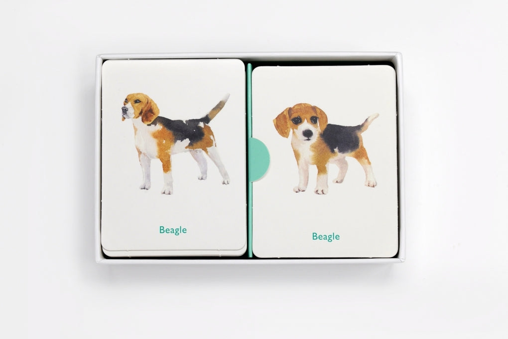 Hunde und ihre Welpen. by Emma Aguado, Marcel George, Battersea Dogs & Cats Home