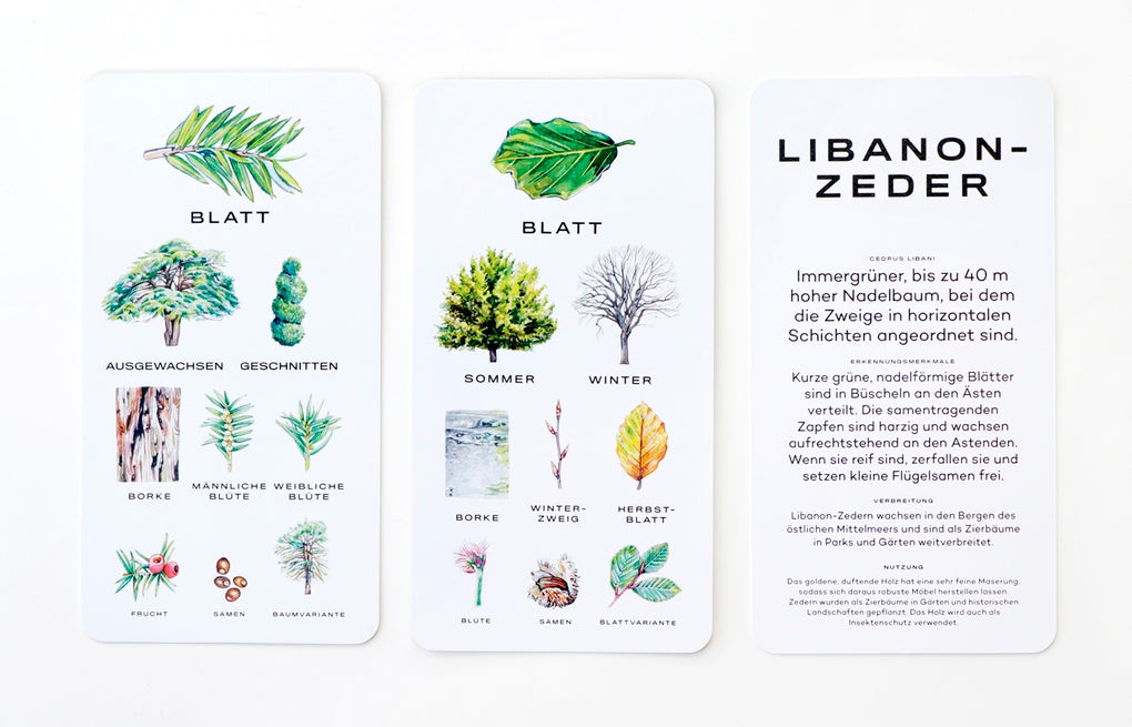 Baum-Wissen by Holly Exley, Tony Kirkham, Ulrich Korn
