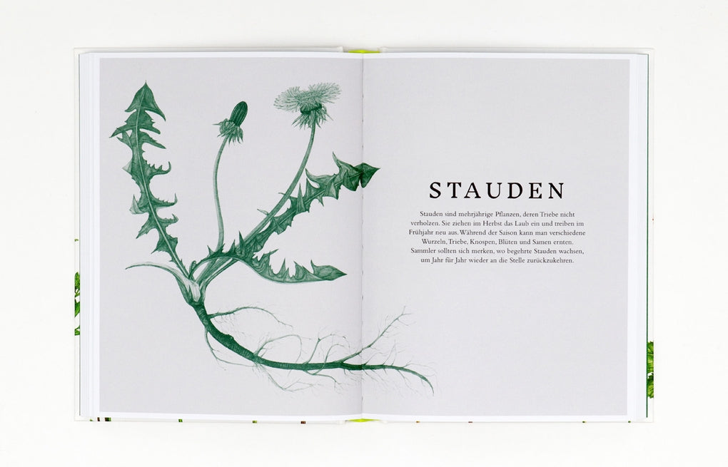 Essbare Wildpflanzen by Liz Knight, Rachel Pedder-Smith, Wiebke Krabbe