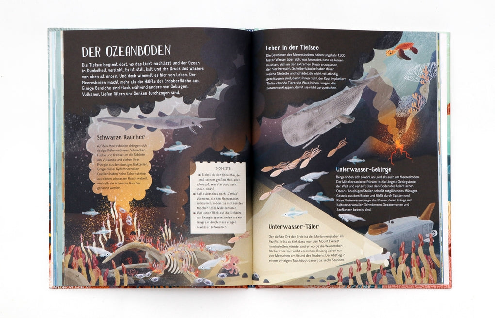 Mit Freddi durch die Ozeane by Catherine Barr, Brendan Kearney, Frederik Kugler