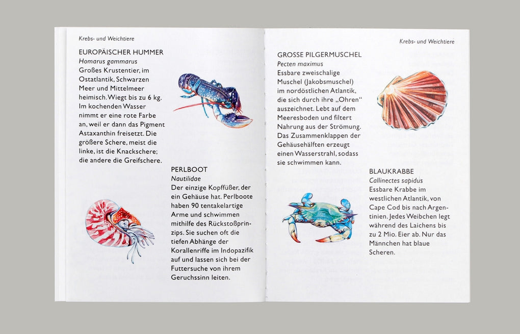 Meeres-Spielkarten by Holly Exley, Magma Publishing Ltd, Ulrich Korn