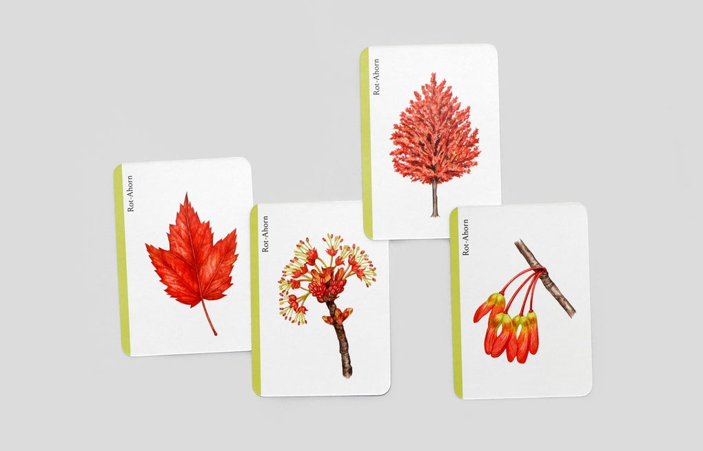 Baum-Familien by Tony Kirkham, Ryuto Miyake, Ulrich Korn