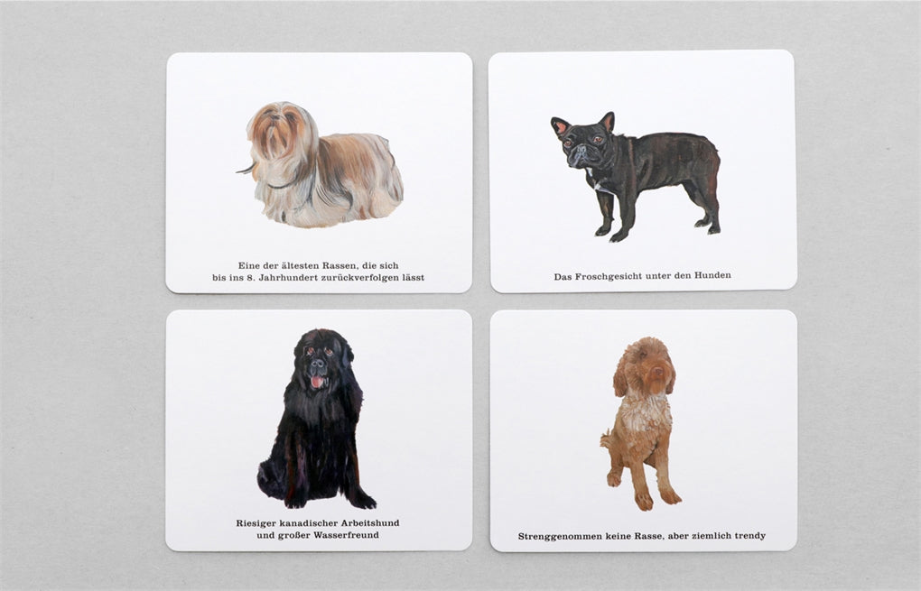 Wer kennt alle Hunde? by Debora Robertson, Polly Horner, Frederik Kugler