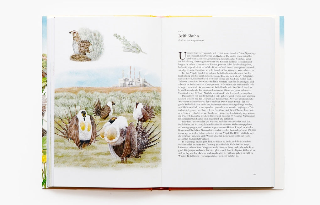 In 80 Vögeln um die Welt by Mike Unwin, Ryuto Miyake, Bettina Eschenhagen