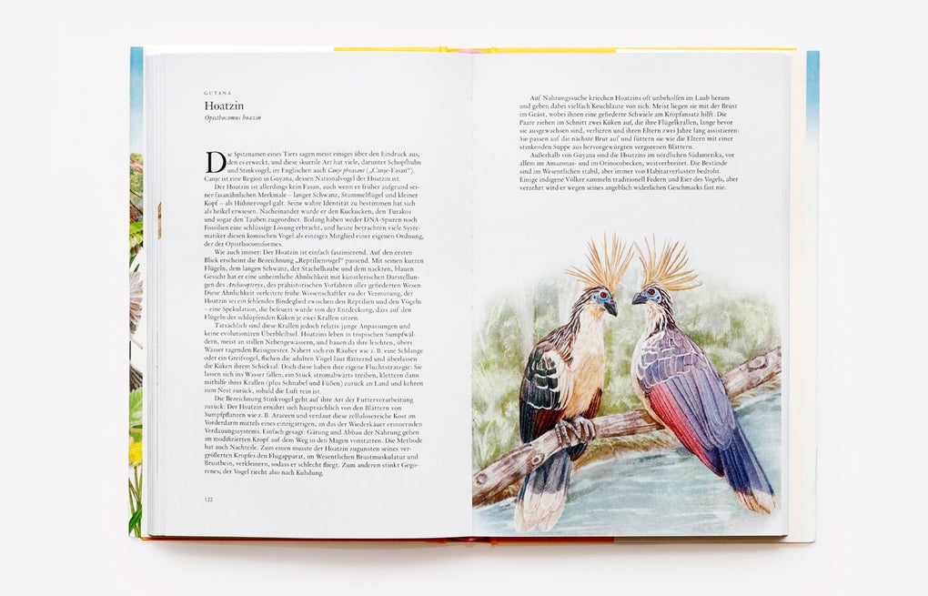 In 80 Vögeln um die Welt by Mike Unwin, Ryuto Miyake, Bettina Eschenhagen