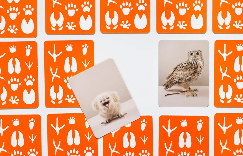 klein & groß by Gerrard Gethings, Ulrich Korn