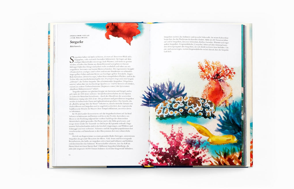 In 80 Meerestieren um die Welt by Helen Scales, Marcel George, Birgit van der Avoort