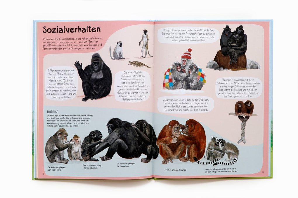 Das Affen-Buch by Katie Viggers, Frederik Kugler