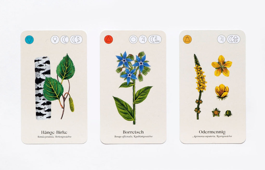 Wilde Alchemie by Jemma Foster, Raxenne Maniquiz, Frederik Kugler