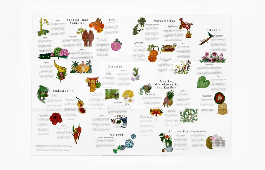 In 50 Pflanzen um die Welt by Jonathan Drori, Lucille Clerc, Bettina Eschenhagen