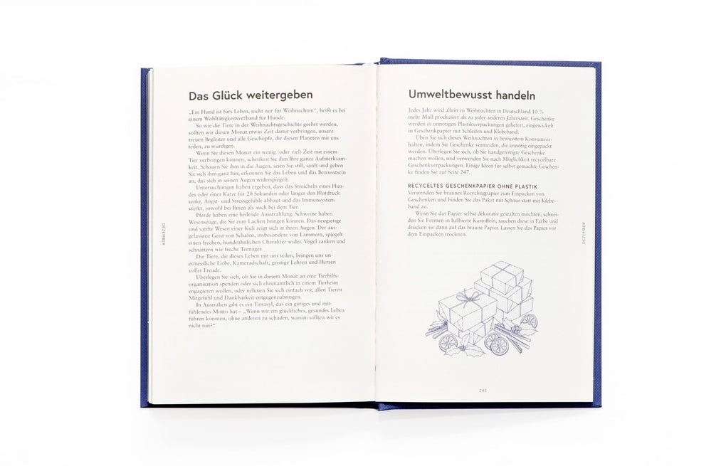 Mein spiritueller Almanach by Joey Hulin, Ulrich Korn