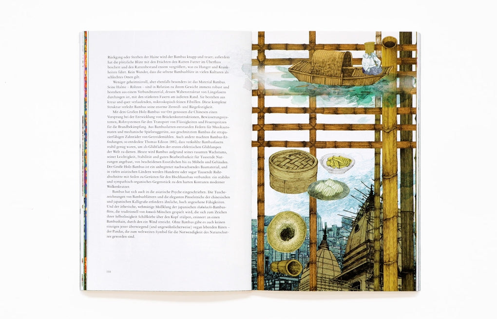 In 80 Pflanzen um die Welt by Jonathan Drori, Lucille Clerc