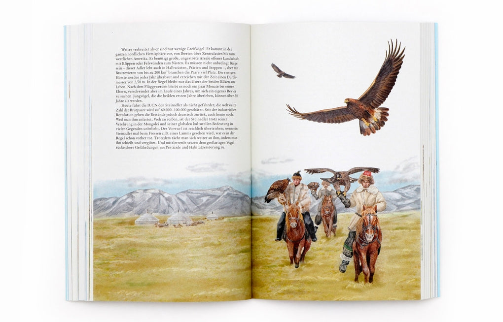 In 80 Vögeln um die Welt by Mike Unwin, Ryuto Miyake