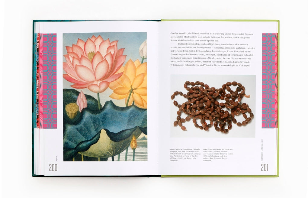 Ethnobotanik by Sarah Edwards