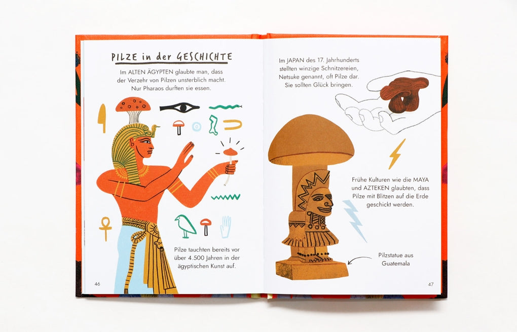 Hallo Pilze by Nina Chakrabarti, Frederik Kugler