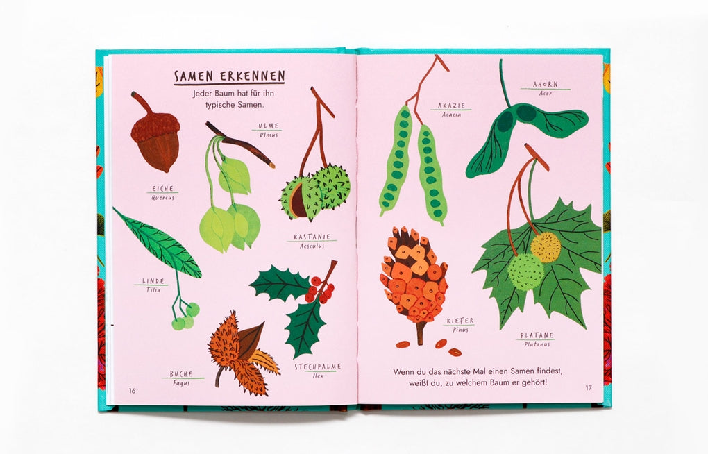 Hallo Bäume by Nina Chakrabarti, Frederik Kugler