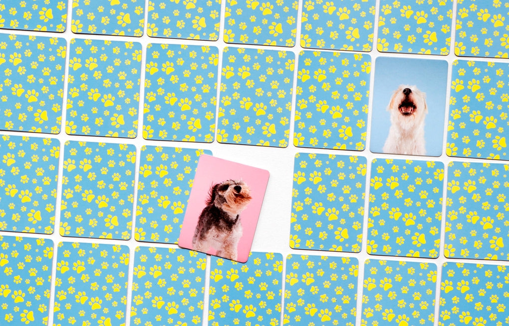 Hundesprache by Gerrard Gethings, Louise Glazebrook, Frederik Kugler