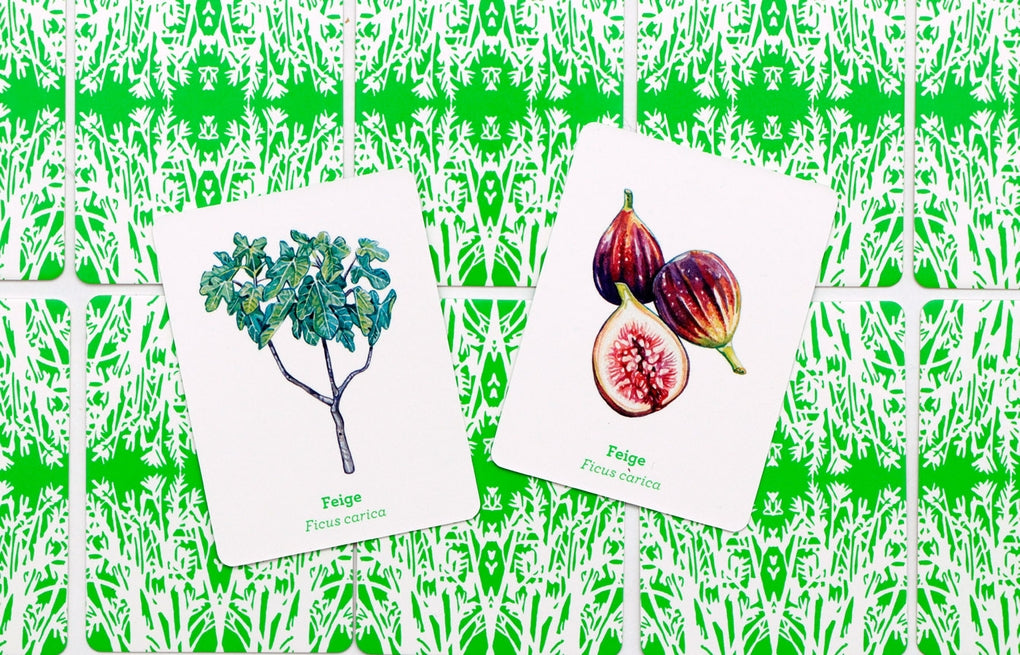 Obst & Gemüse by Abigail Willis, Holly Exley