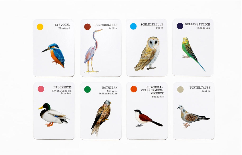 Vogel-Familien by Mike Unwin, Christine Berrie, Sarah Pasquay