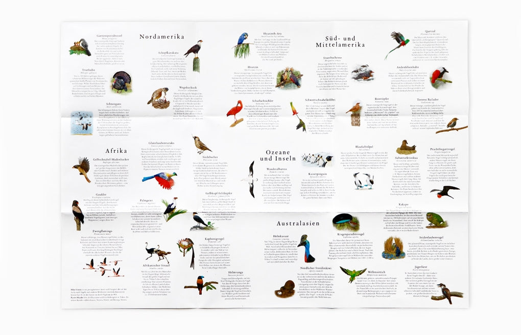 In 50 Vögeln um die Welt by Ryuto Miyake, Mike Unwin