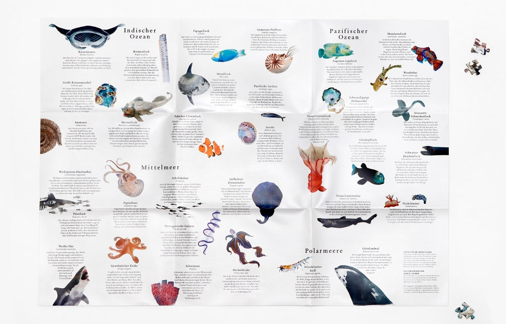 In 50 Meerestieren um die Welt by Helen Scales, Marcel George