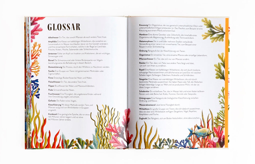 Wer ist wer? by Lucy Thorn, Lucy Rose