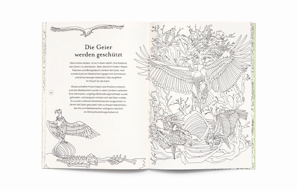 Die Rückkehr der Wildnis by Helen Scales