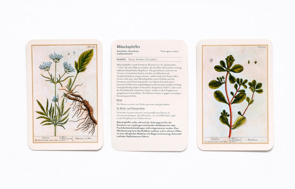 Heilpflanzen by Chelsea Physic Garden