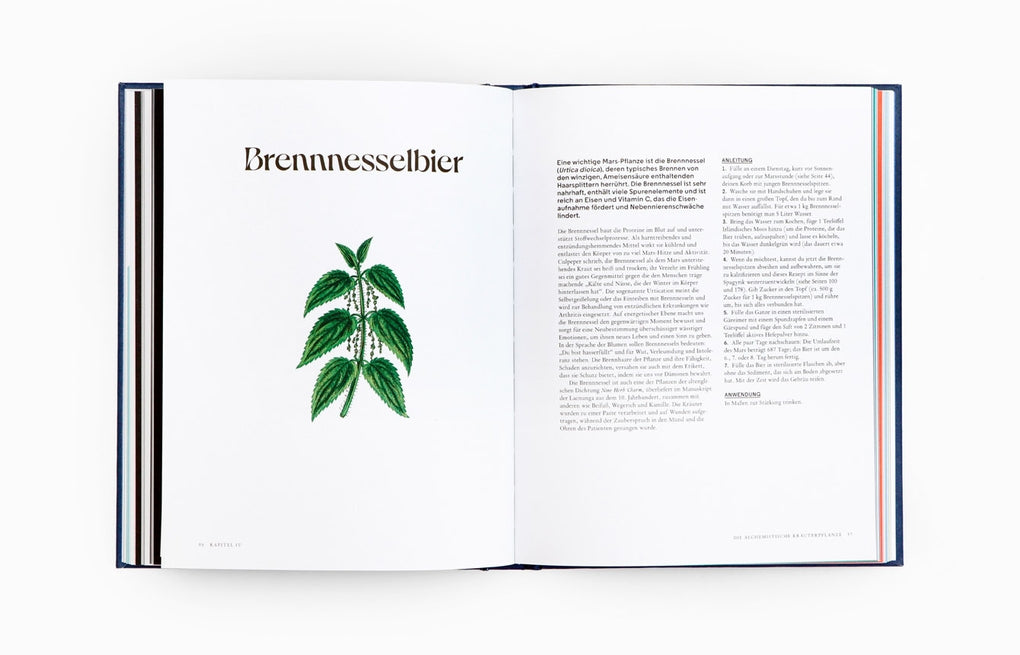 Wilde Alchemie by Jemma Foster