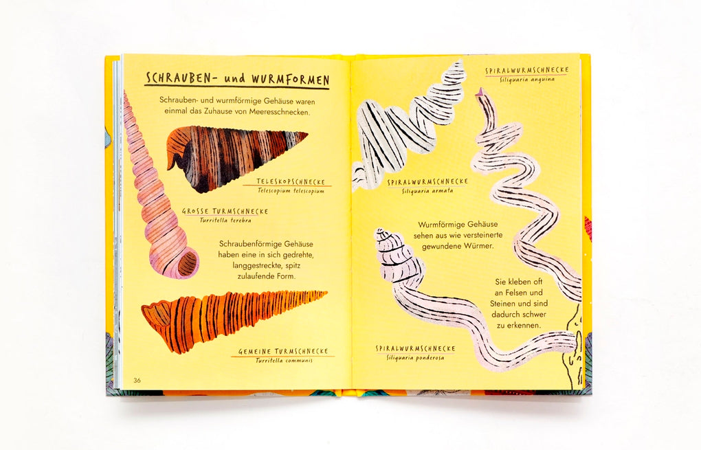 Hallo Fossilien & Muscheln by Nina Chakrabarti