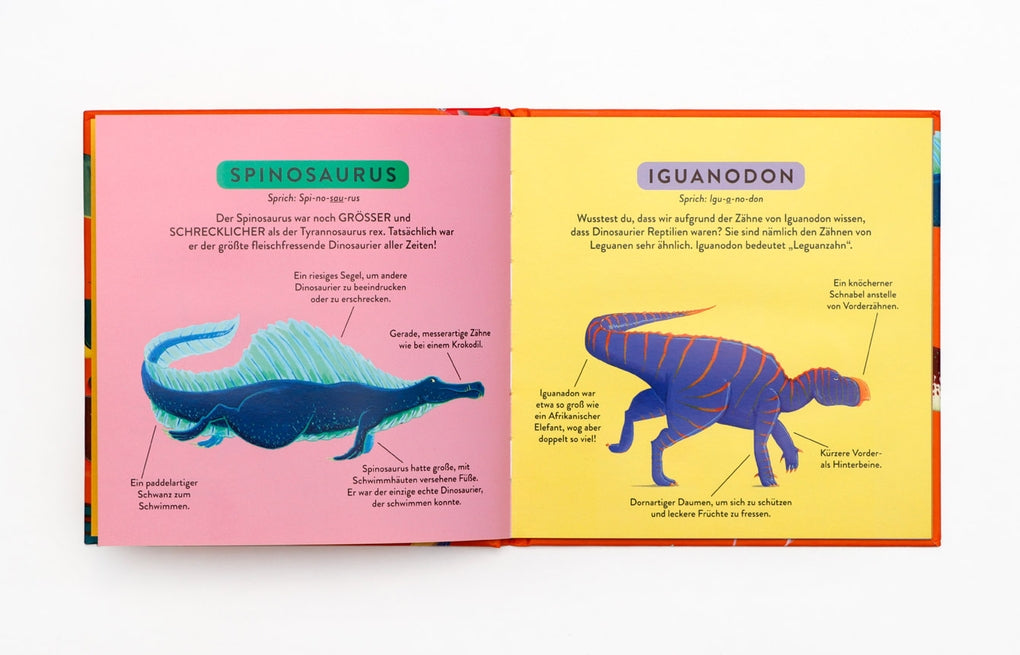 Mein erstes Dino-Buch by Daniel Frost