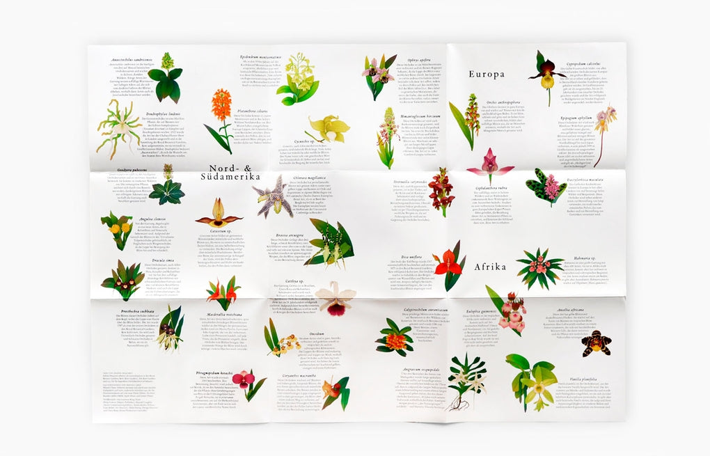 In 50 Orchideen um die Welt by Whooli Chen