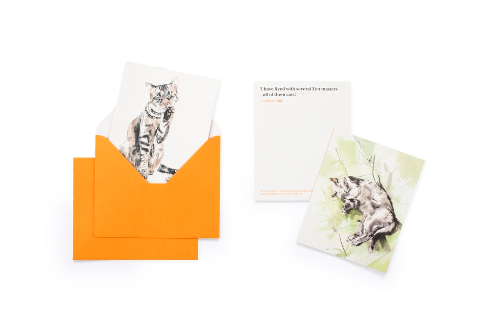 For the Love of Cats: 20 Individual Notecards and Envelopes by Ana Sampson