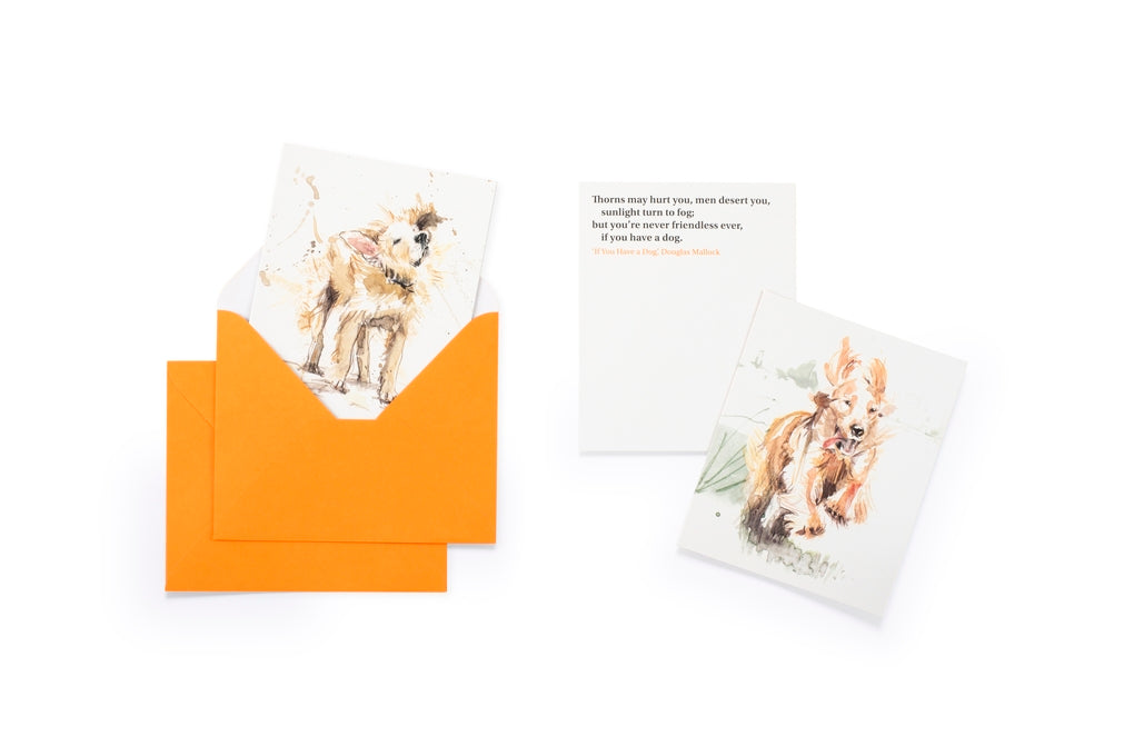 For the Love of Dogs: 20 Individual Notecards and Envelopes by Ana Sampson