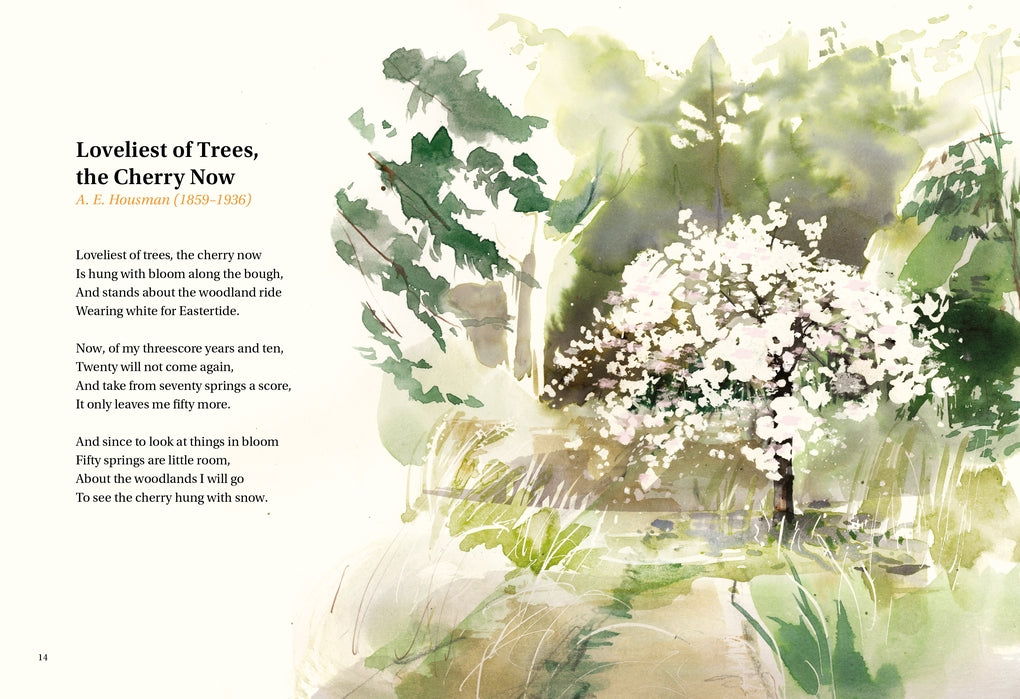 The Book of Tree Poems by Ana Sampson, Sarah Maycock