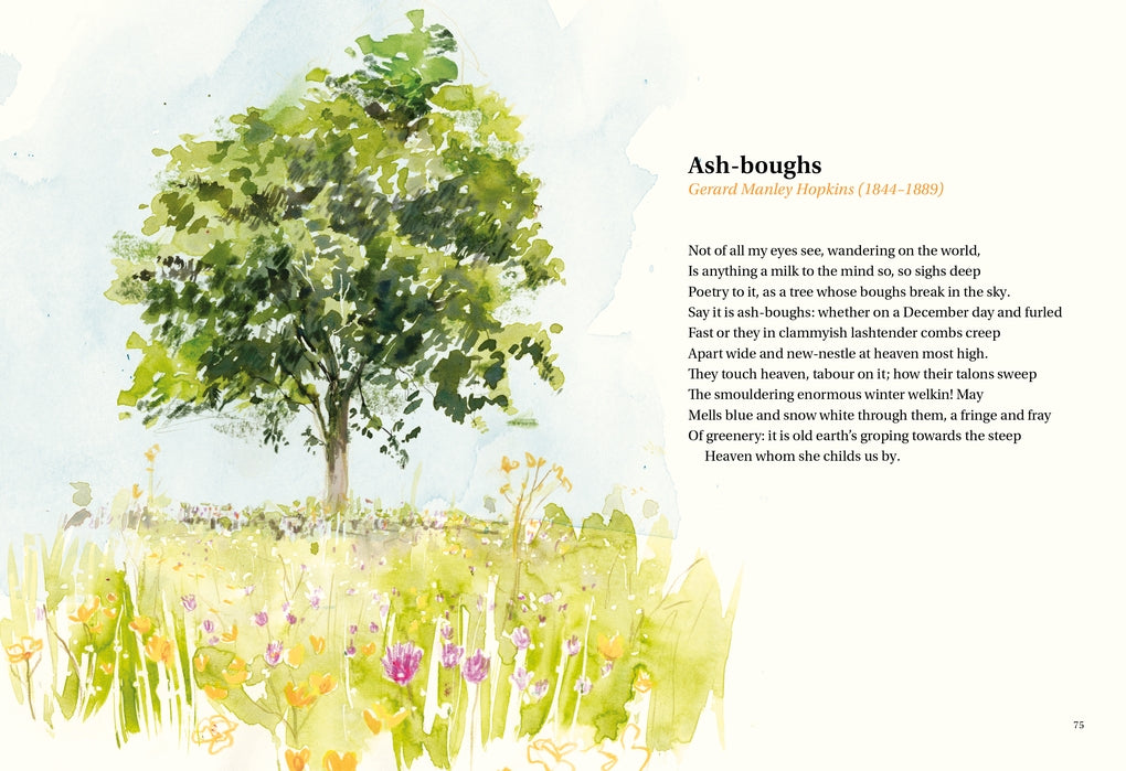 The Book of Tree Poems by Ana Sampson, Sarah Maycock