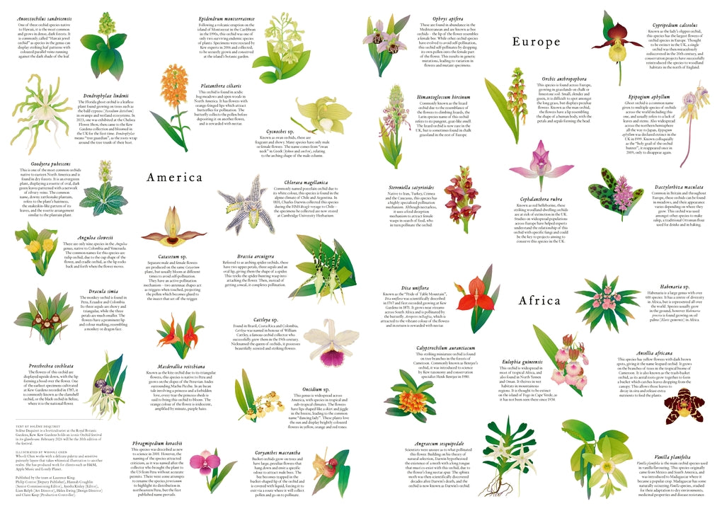 Around the World in 50 Orchids by Whooli Chen