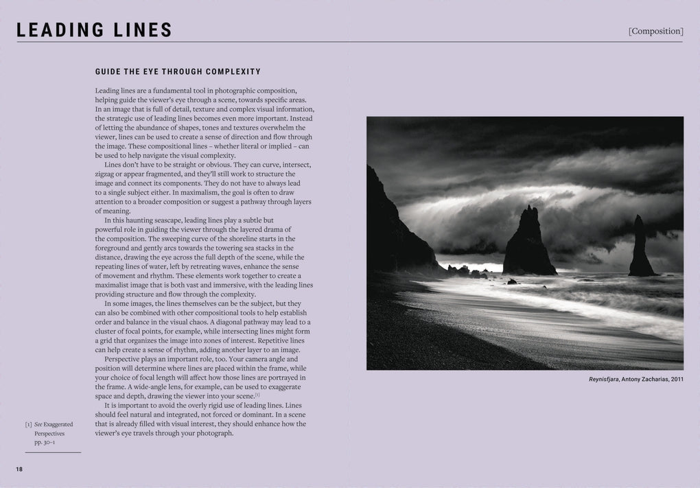 The Maximalist Photographer by Antony Zacharias