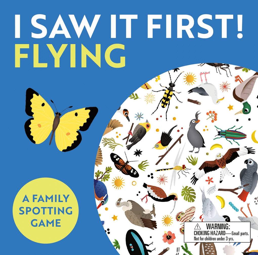 I Saw It First: Flying (travel edition) by Caroline Selmes, Caroline Selmes