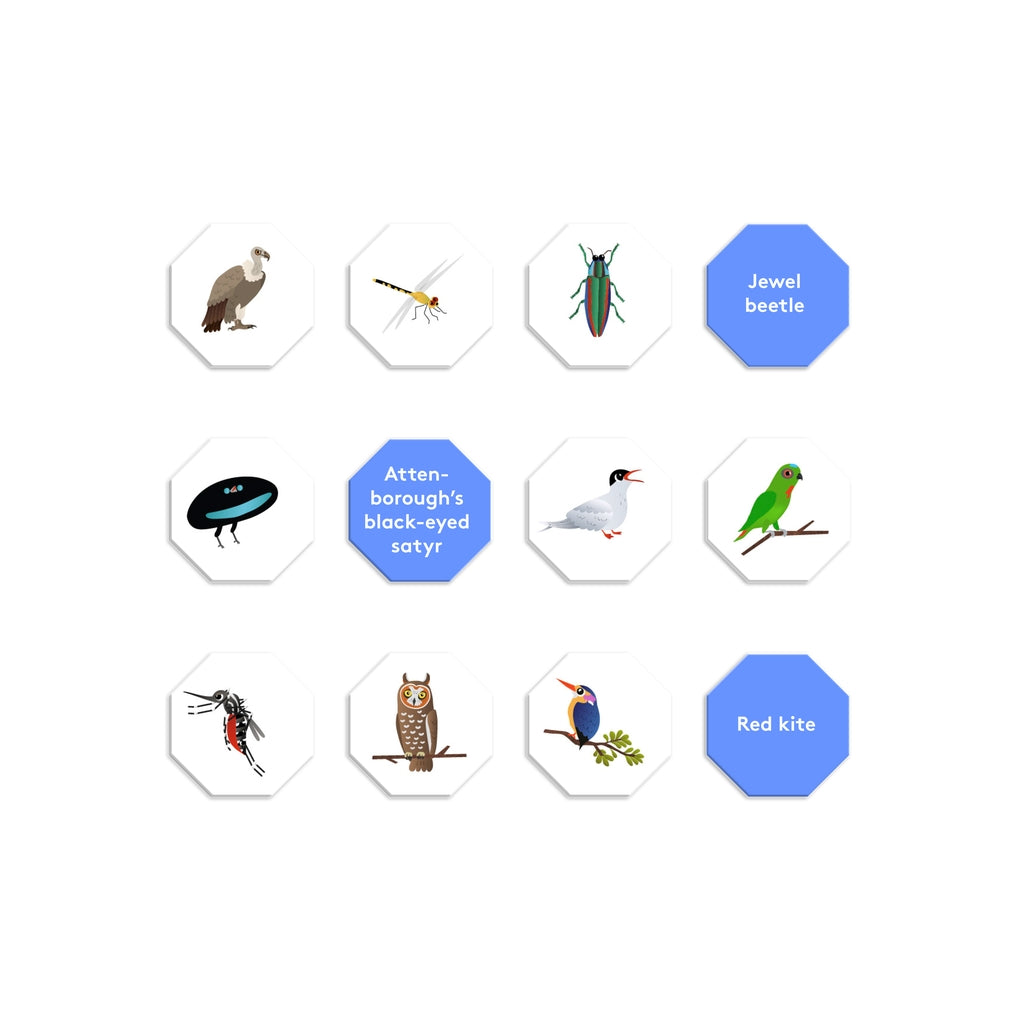 I Saw It First: Flying (travel edition) by Caroline Selmes, Caroline Selmes