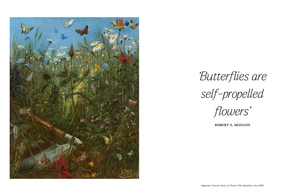 The Book of the Butterfly by Caroline Roberts
