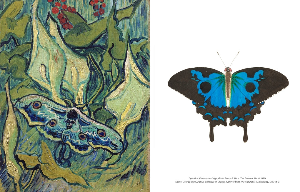 The Book of the Butterfly by Caroline Roberts
