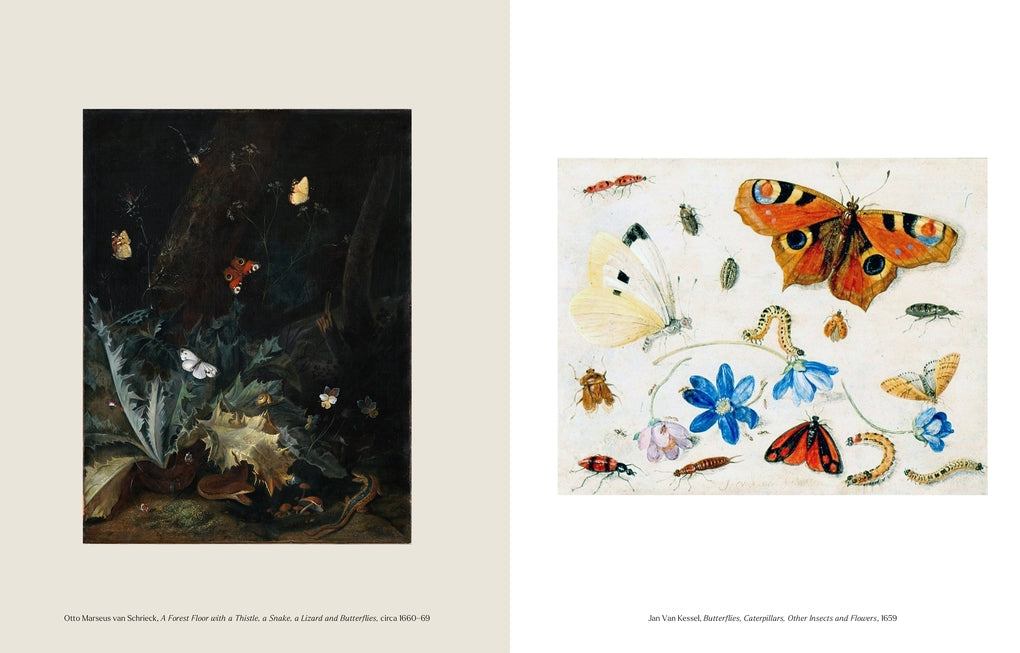 The Book of the Butterfly by Caroline Roberts