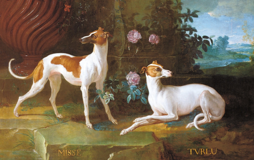 The Book of the Dog by Angus Hyland, Kendra Wilson