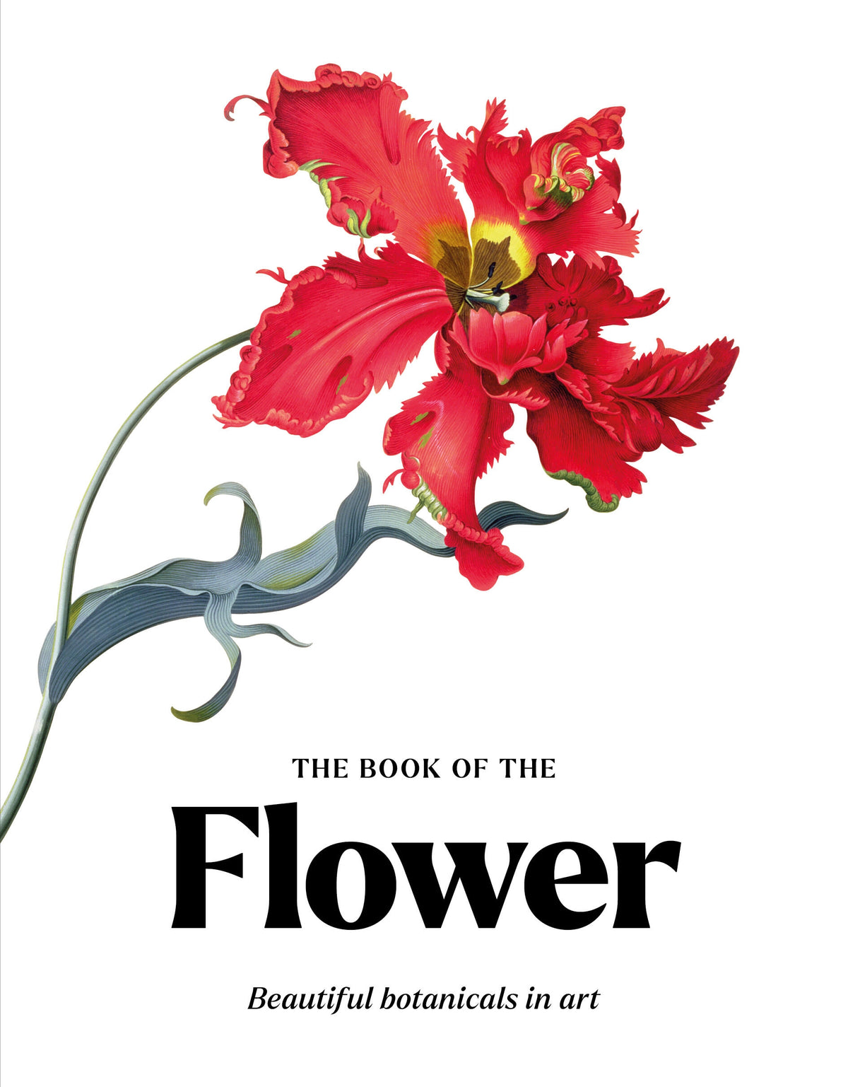 The Book of the Flower by Angus Hyland, Kendra Wilson