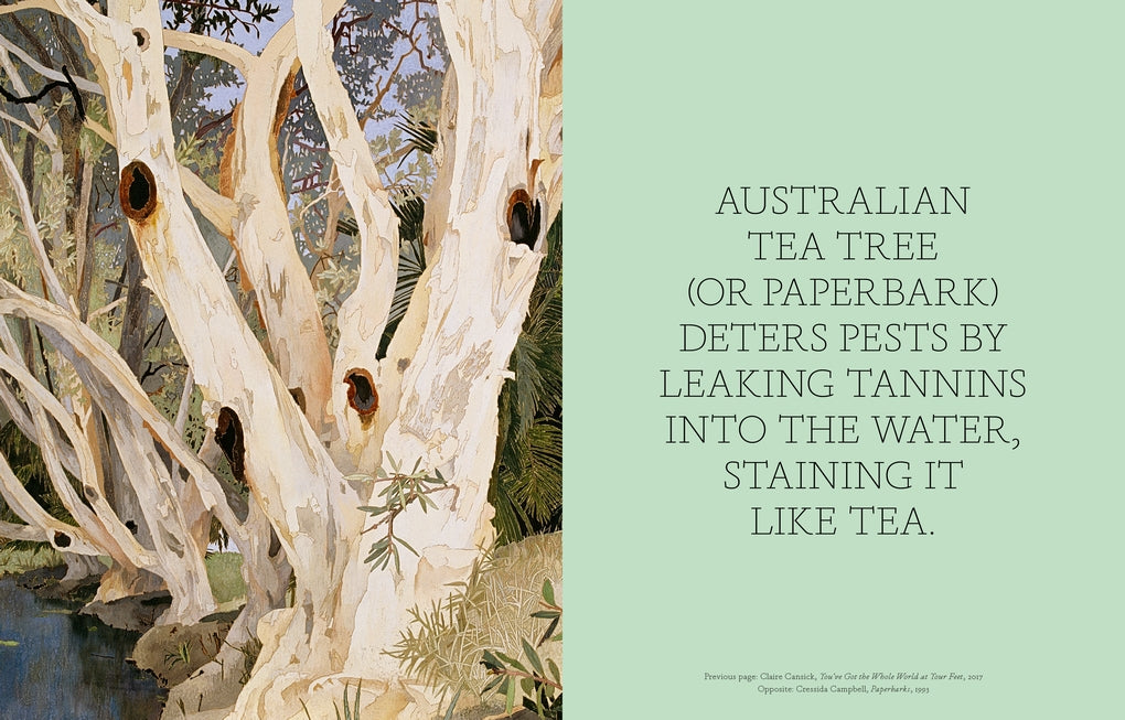 The Book of the Tree by Angus Hyland, Kendra Wilson