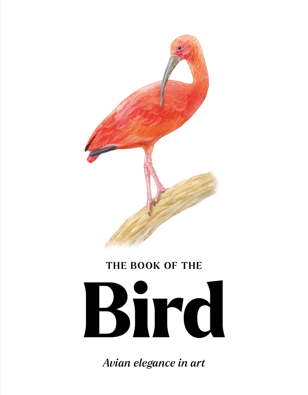 The Book of the Bird by Angus Hyland, Kendra Wilson
